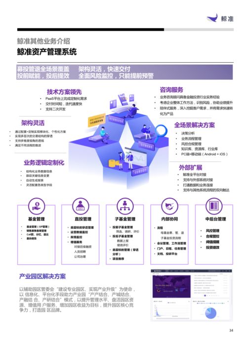 軟件與服務(wù)板塊表現(xiàn)搶眼，信息技術(shù)咨詢(xún)服務(wù)引領(lǐng)增長(zhǎng)